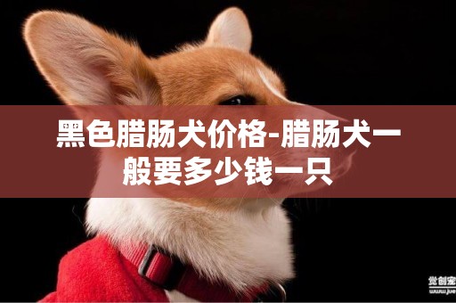 黑色臘腸犬價格-臘腸犬一般要多少錢一只