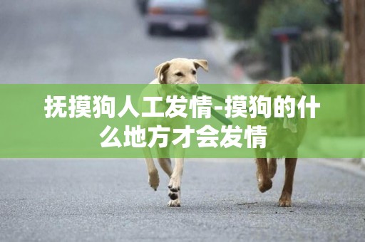 撫摸狗人工發情-摸狗的什么地方才會發情