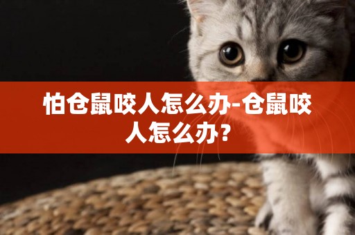 怕倉鼠咬人怎么辦-倉鼠咬人怎么辦？