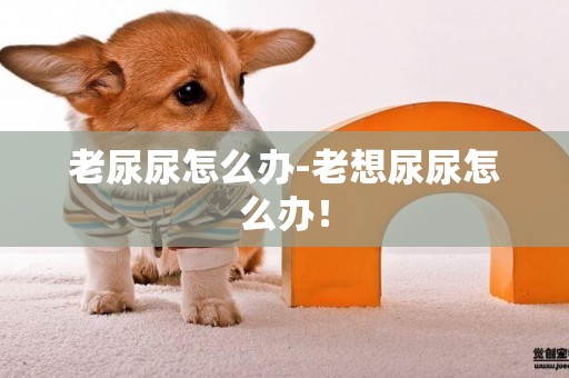 老尿尿怎么辦-老想尿尿怎么辦！