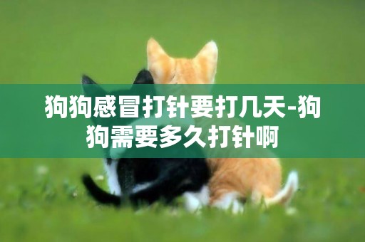 狗狗感冒打針要打幾天-狗狗需要多久打針啊
