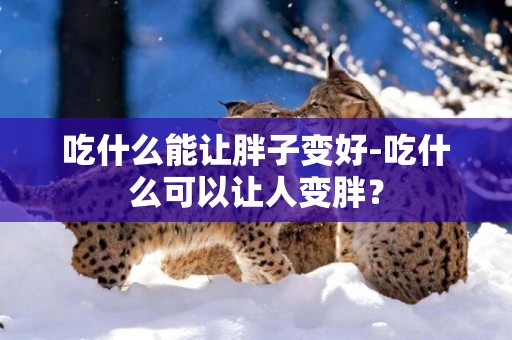 吃什么能讓胖子變好-吃什么可以讓人變胖？