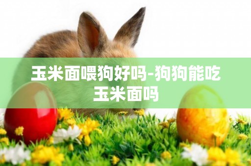 玉米面喂狗好嗎-狗狗能吃玉米面嗎