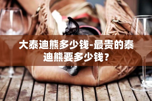 大泰迪熊多少錢-最貴的泰迪熊要多少錢？