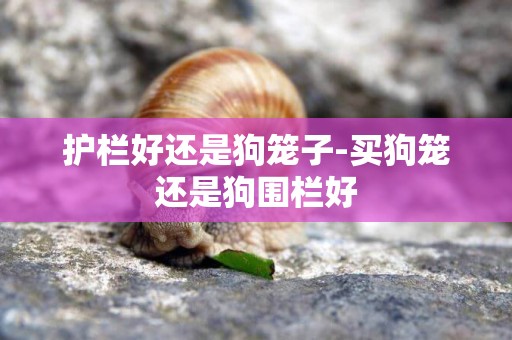 護欄好還是狗籠子-買狗籠還是狗圍欄好