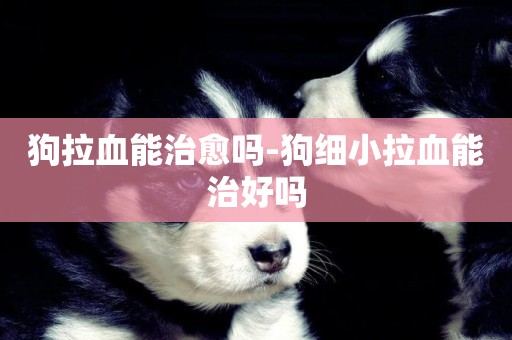 狗拉血能治愈嗎-狗細小拉血能治好嗎