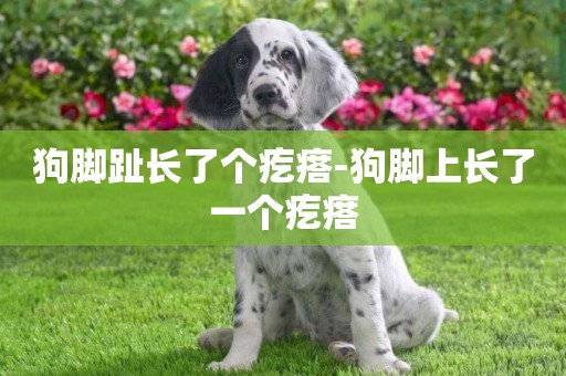 狗腳趾長了個疙瘩-狗腳上長了一個疙瘩