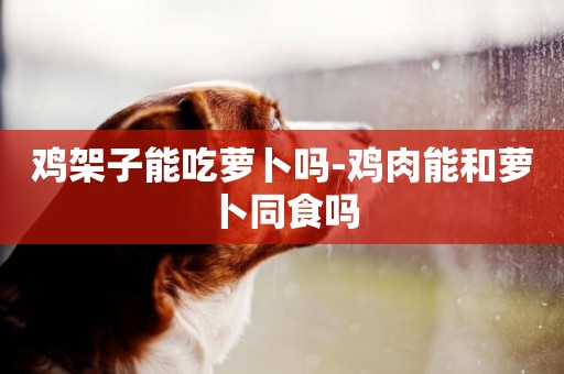 雞架子能吃蘿卜嗎-雞肉能和蘿卜同食嗎