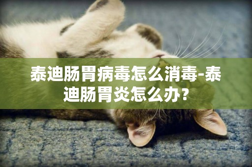 泰迪腸胃病毒怎么消毒-泰迪腸胃炎怎么辦？