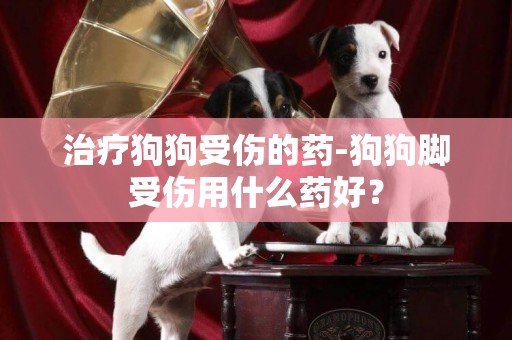 治療狗狗受傷的藥-狗狗腳受傷用什么藥好？