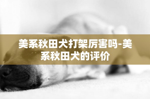 美系秋田犬打架厲害嗎-美系秋田犬的評價