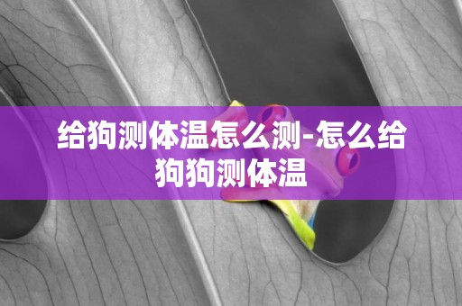 給狗測體溫怎么測-怎么給狗狗測體溫