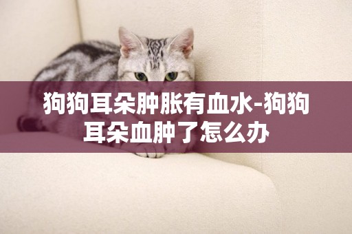 狗狗耳朵腫脹有血水-狗狗耳朵血腫了怎么辦