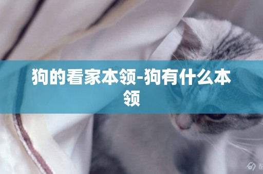 狗的看家本領-狗有什么本領