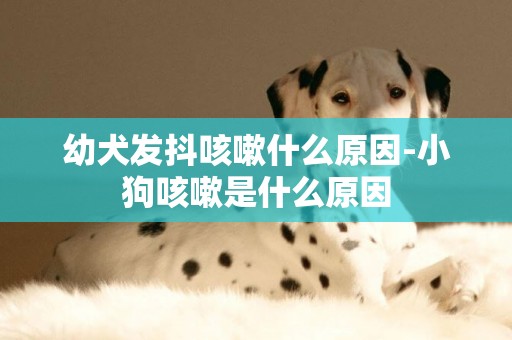 幼犬發抖咳嗽什么原因-小狗咳嗽是什么原因