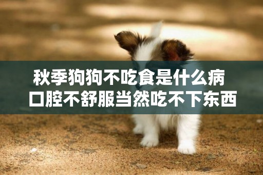 秋季狗狗不吃食是什么病 口腔不舒服當然吃不下東西！