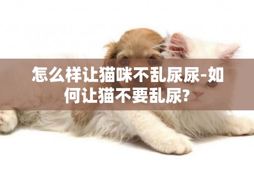怎么樣讓貓咪不亂尿尿-如何讓貓不要亂尿?
