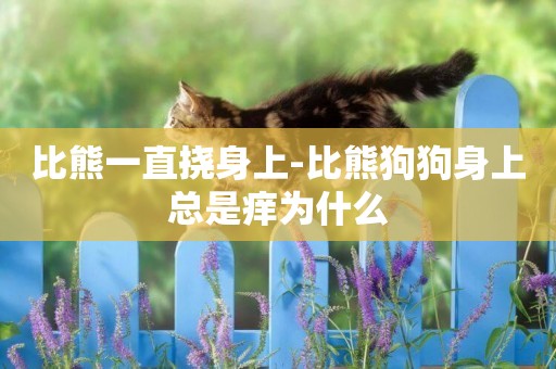 比熊一直撓身上-比熊狗狗身上總是癢為什么