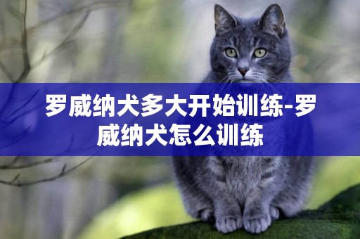 羅威納犬多大開始訓練-羅威納犬怎么訓練