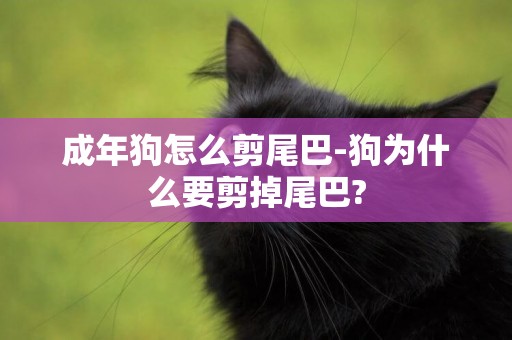 成年狗怎么剪尾巴-狗為什么要剪掉尾巴?
