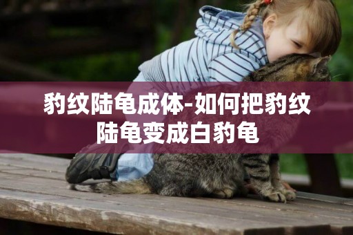 豹紋陸龜成體-如何把豹紋陸龜變成白豹龜