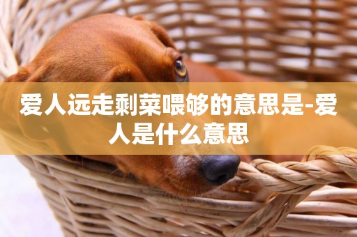愛人遠走剩菜喂夠的意思是-愛人是什么意思