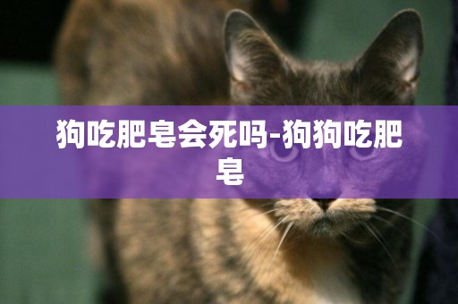 狗吃肥皂會死嗎-狗狗吃肥皂