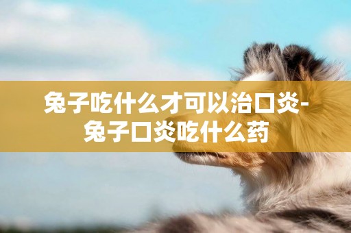 兔子吃什么才可以治口炎-兔子口炎吃什么藥