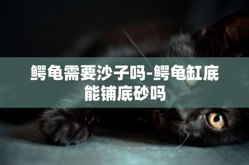 鱷龜需要沙子嗎-鱷龜缸底能鋪底砂嗎