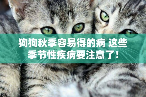 狗狗秋季容易得的病 這些季節性疾病要注意了！