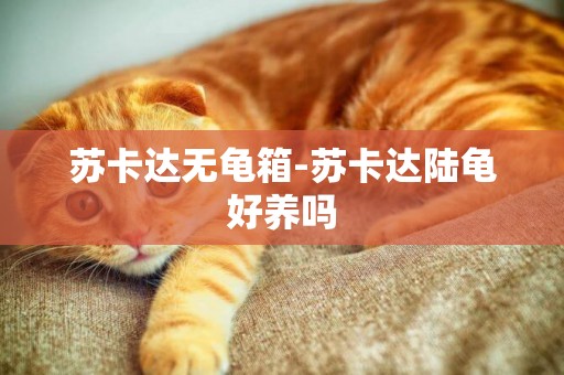 蘇卡達無龜箱-蘇卡達陸龜好養嗎