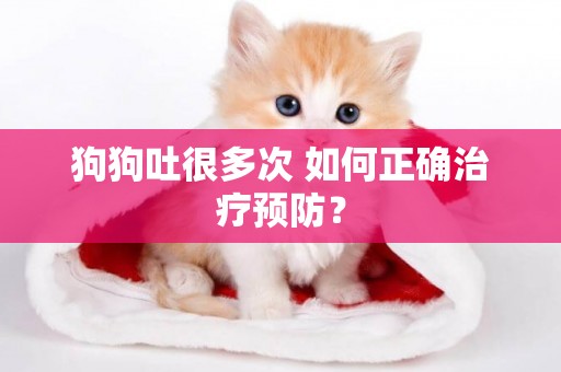 狗狗吐很多次 如何正確治療預防？