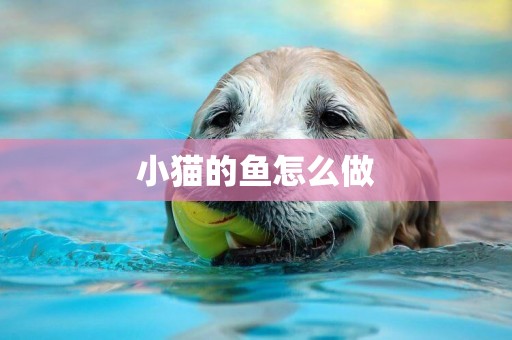 小貓的魚怎么做