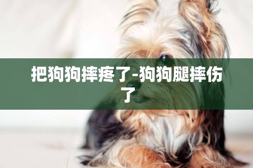 把狗狗摔疼了-狗狗腿摔傷了
