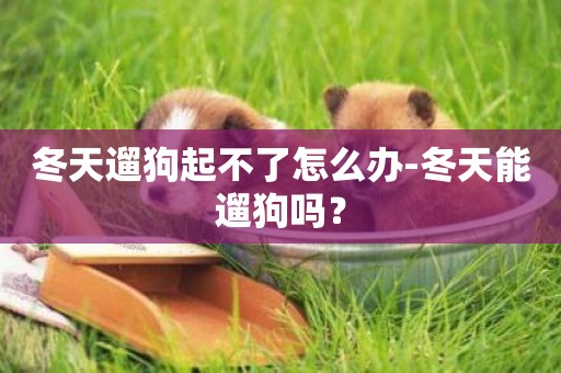 冬天遛狗起不了怎么辦-冬天能遛狗嗎？