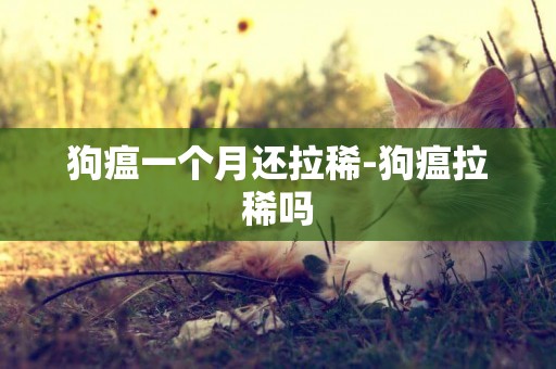 狗瘟一個月還拉稀-狗瘟拉稀嗎
