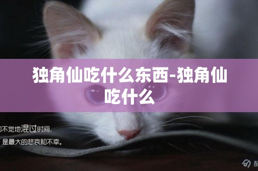 獨角仙吃什么東西-獨角仙吃什么