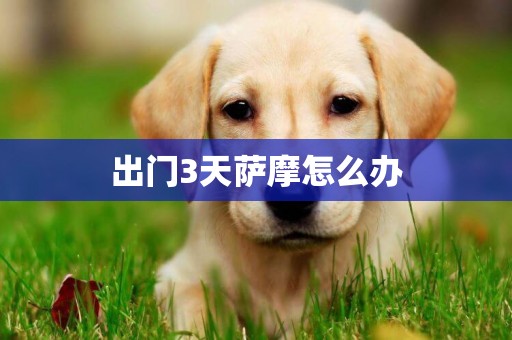 出門3天薩摩怎么辦