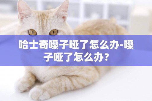 哈士奇嗓子啞了怎么辦-嗓子啞了怎么辦？