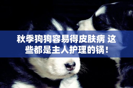 秋季狗狗容易得皮膚病 這些都是主人護理的鍋！