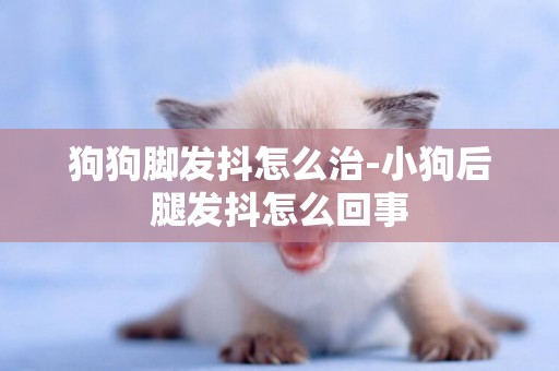 狗狗腳發抖怎么治-小狗后腿發抖怎么回事