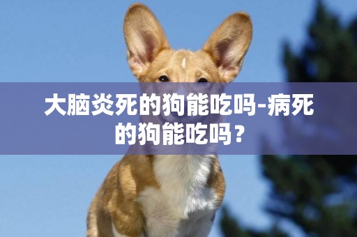 大腦炎死的狗能吃嗎-病死的狗能吃嗎？