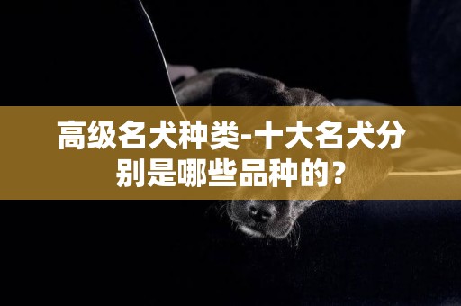 高級名犬種類-十大名犬分別是哪些品種的？
