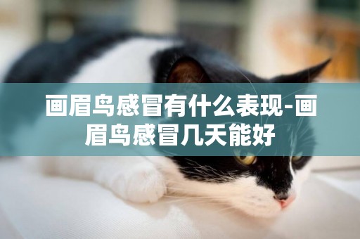 畫眉鳥感冒有什么表現-畫眉鳥感冒幾天能好