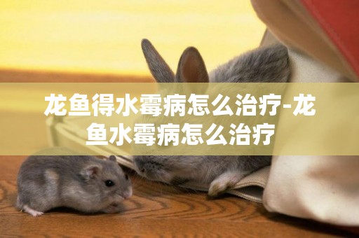 龍魚得水霉病怎么治療-龍魚水霉病怎么治療
