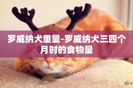 羅威納犬重量-羅威納犬三四個月時的食物量
