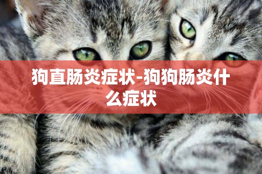 狗直腸炎癥狀-狗狗腸炎什么癥狀