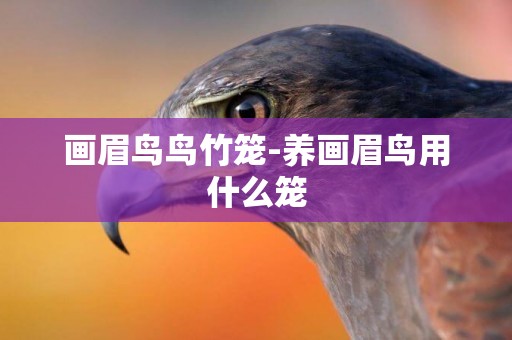 畫眉鳥鳥竹籠-養畫眉鳥用什么籠