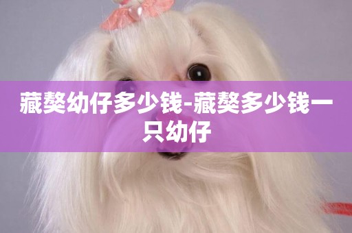 藏獒幼仔多少錢-藏獒多少錢一只幼仔