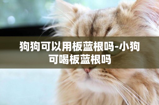 狗狗可以用板藍根嗎-小狗可喝板藍根嗎